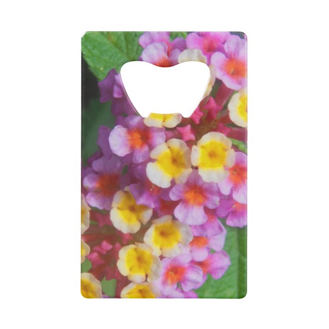 Kleines Gelbpinke und Lila tropische Blume Geldkarten Flaschenöffner (Vorderseite)