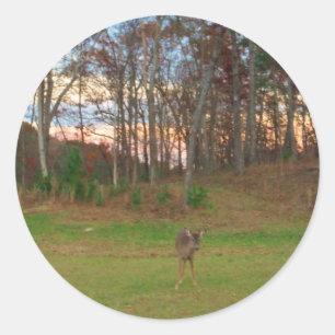 Kleines Hirsch und rosa Sonnenuntergang Runder Aufkleber