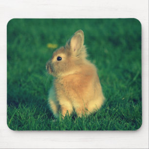 Kleines Kaninchen Mousepad