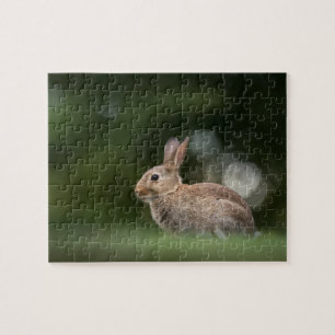 Kleines Kaninchen-Natur-Foto Puzzle