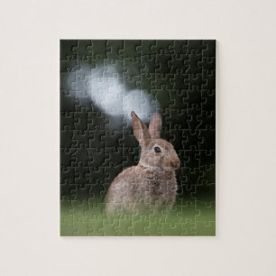Kleines Kaninchen Naturfoto Puzzle
