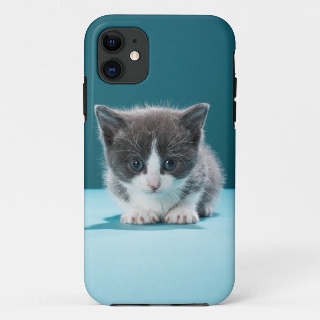 Kleines Kätzchen Case-Mate iPhone Hülle (Rückseite)