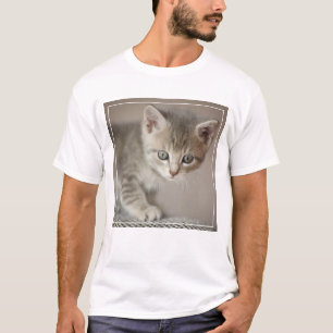 Kleines Kätzchen T-Shirt
