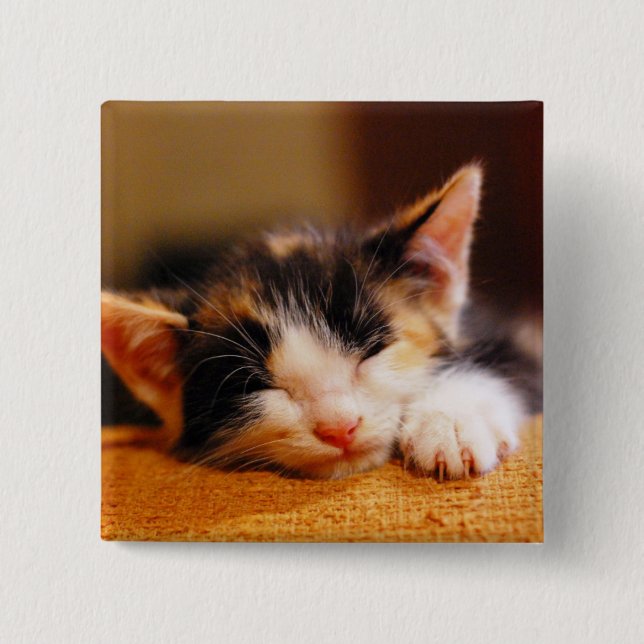 Kleines Kitty Schlafen Button (Vorderseite)