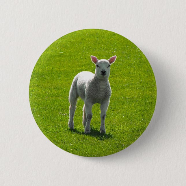 Kleines Lamm Button (Vorderseite)