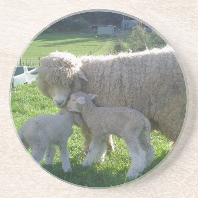 KLEINES LAMM SANDSTEIN UNTERSETZER (Vorne)