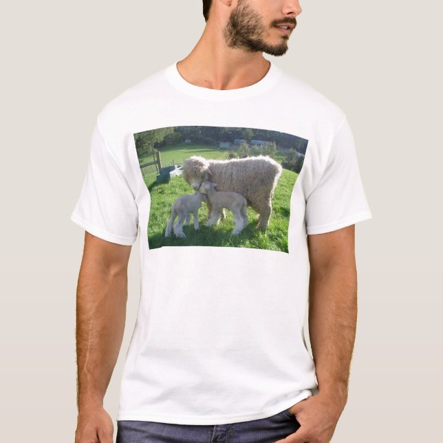KLEINES LAMM T-Shirt (Vorderseite)