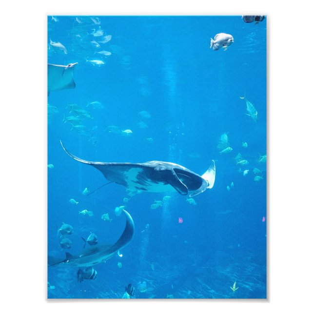 KLEINES/MITTLERES Poster #Y020 auf Fotografie (Vorne)