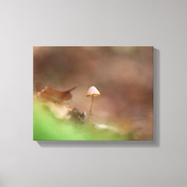 Kleines Mushroom Nature Foto Leinwanddruck