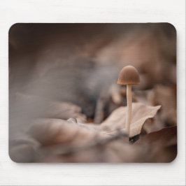 Kleines Mushroom Nature Foto Mousepad