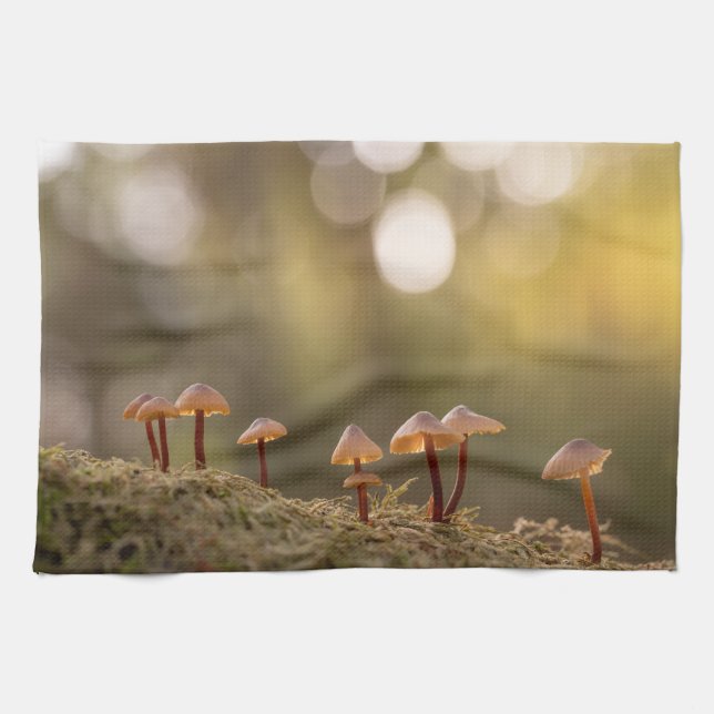 Kleines Mushrooms Nature Foto Geschirrtuch (Horizontal)