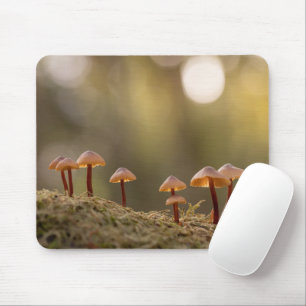 Kleines Mushrooms Nature Foto Mousepad