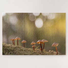 Kleines Mushrooms Nature Foto Puzzle