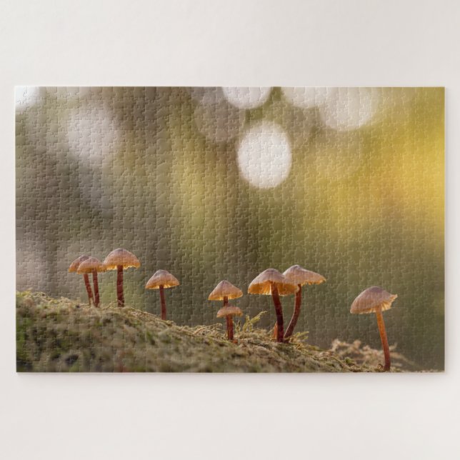 Kleines Mushrooms Nature Foto Puzzle (Horizontal)
