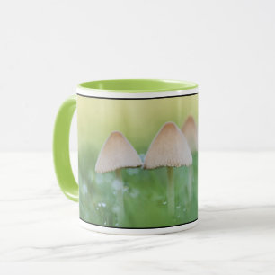 Kleines Mushrooms Nature Foto Tasse