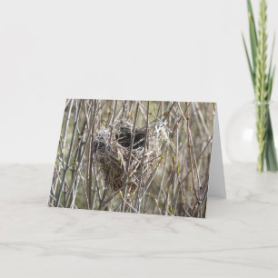 Kleines Nest Karte