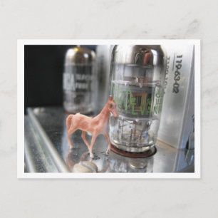 Kleines Pferd im Vintagen McIntosh Postkarte