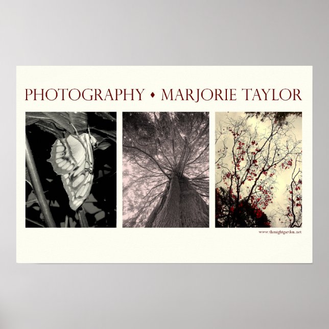 Kleines Poster (22,5 x 15 Zoll) (Vorne)