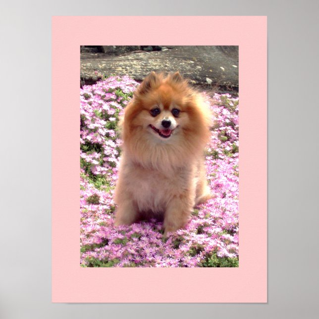 Kleines Poster | Marley Spitz Pink Blume (Vorne)
