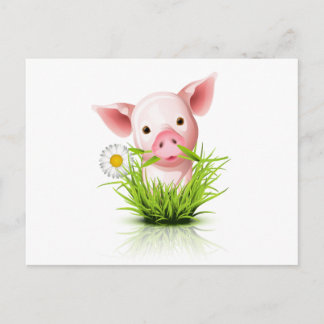 Kleines rosa Grasschwein Postkarte