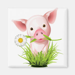 Kleines rosa Schwein im Gras Magnet