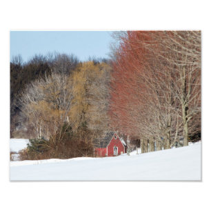 Kleines Rotes Haus Fotodruck