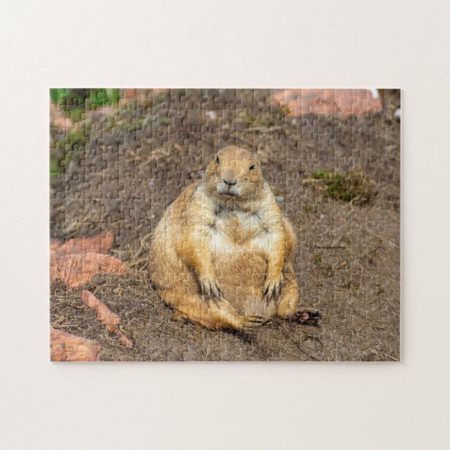 Kleines Schwarzschwanz-Prairie-Dog-Jigsaw-Puzzle Puzzle (Horizontal)