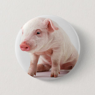 Kleines Schwein Button