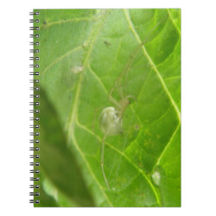 Kleines Spider Notebook Notizblock