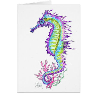 KLEINES WILDES PFERD