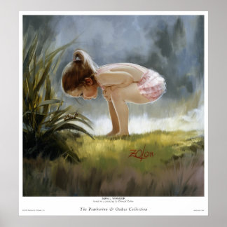 Kleines Wunder Poster