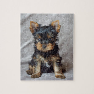 Kleines yorkie puzzle