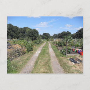 Kleingarten auf dem Land Postkarte