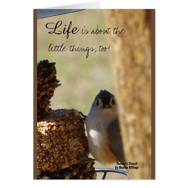 Kleinigkeiten (Vorne)