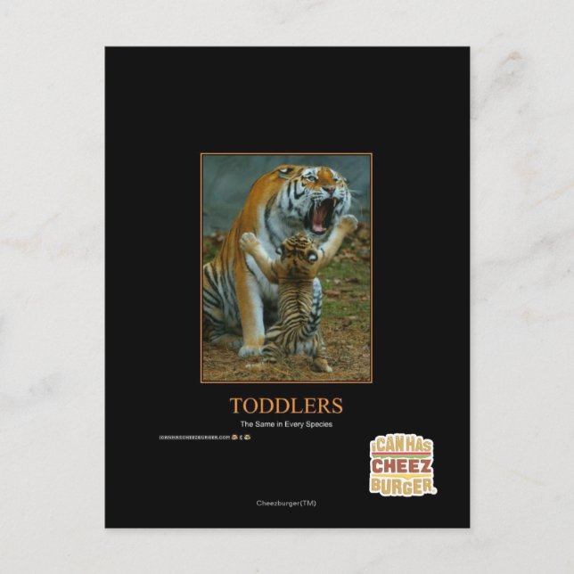 Kleinkinder Postkarte (Vorderseite)