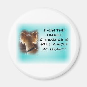 Kleinste Chihuahua… Magnet