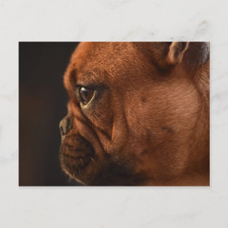 Klementine Postkarte