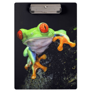 Klemmbrett des Frosch-3