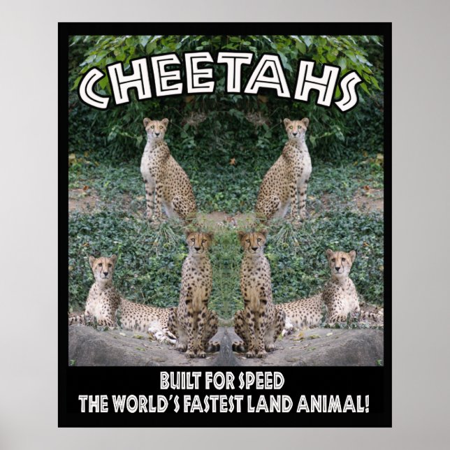 KLETTE - GEBÄUDE FÜR GESCHWINDIGKEIT POSTER (Vorne)
