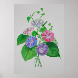 Klettergarten Bellinzona Poster