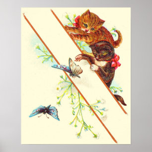 Kletterkätzchen und Schmetterlinge Poster