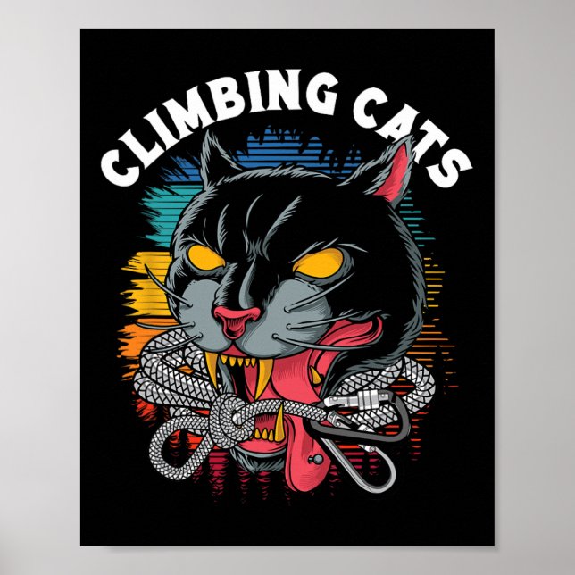 Kletterkatzen Bouldering Felsenklettern Kletterer  Poster (Vorne)