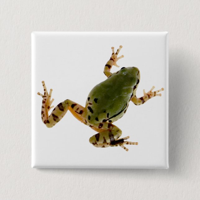 Klettern Arizona Tree Frog Fotografie Button (Vorderseite)