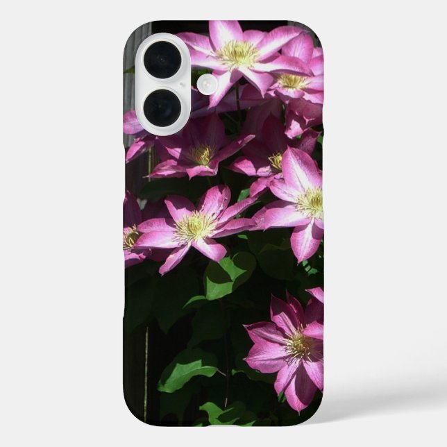 Klettern Clematis Lila Frühlingsblumen Case-Mate iPhone Hülle (Rückseite)