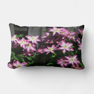 Klettern Clematis Lila Frühlingsblumen Lendenkissen