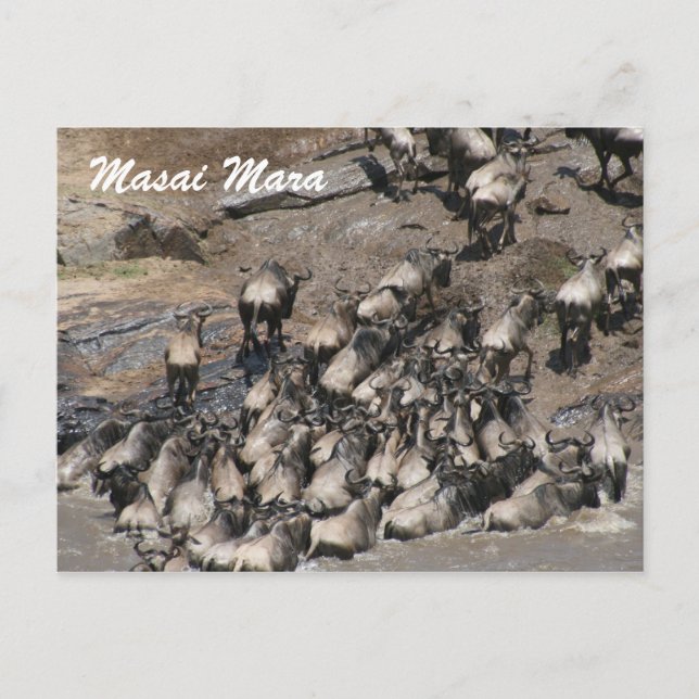 Klettern in der Wildnis Postkarte (Vorderseite)