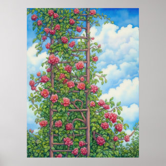 Klettern von Rose Poster