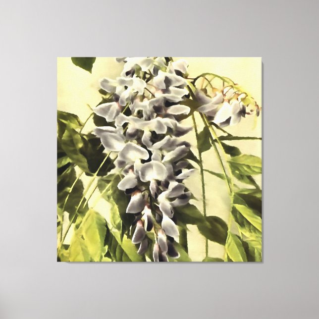 Klettern Windblown Wisteria Ristorante La Lanchett Leinwanddruck (Vorderseite)