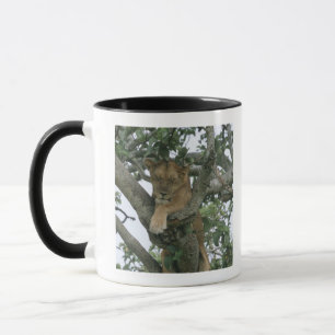 Kletternde Löwin des Baums (Panthera Löwe), Tasse