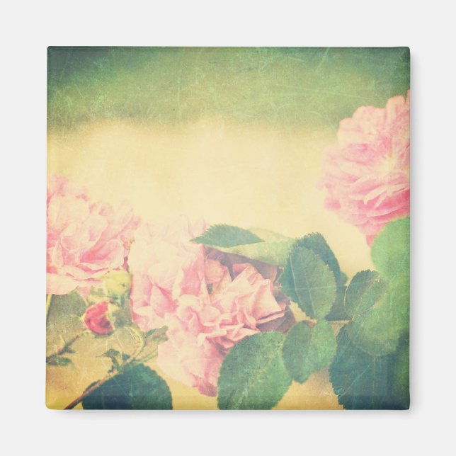 Kletternde rosa Rosen Magnet (Vorne)